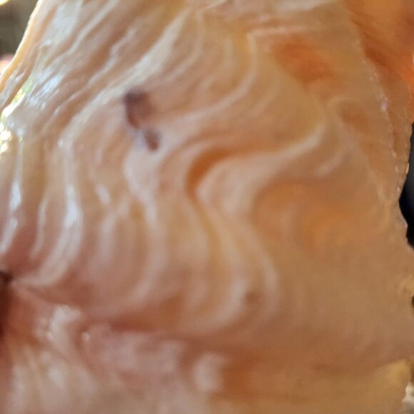 DECOUPAGE TRIDACNA SQUAMOSA SHELL - Picture 7 of 7